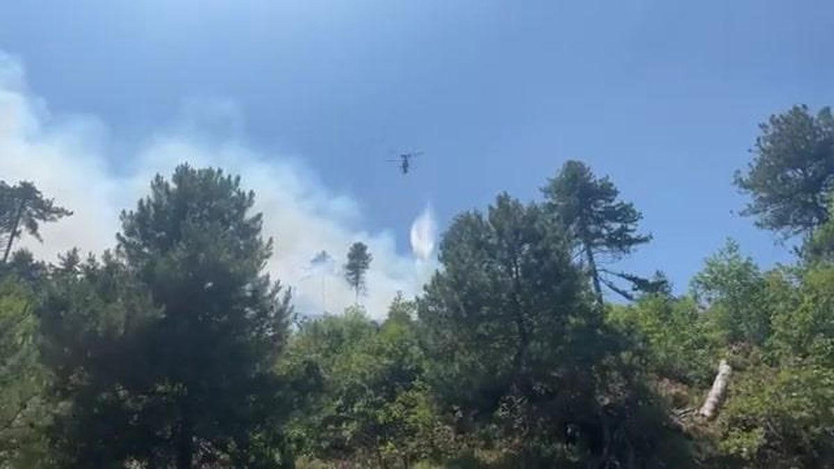 Son dakika! Balıkesir\'de ormanlık alanda çıkan yangın kontrol altına alındı