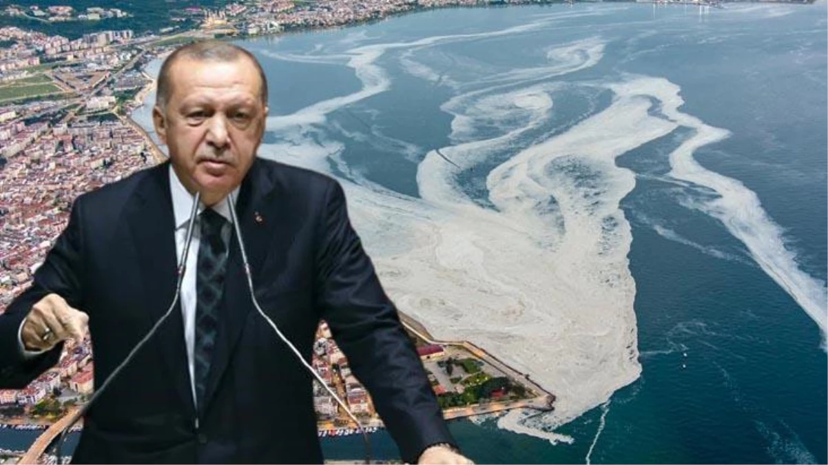 Cumhurbaşkanı Erdoğan\'dan akademisyenlerle müsilaj toplantısı! Sonuç bildirgesinde dikkat çeken tavsiyeler