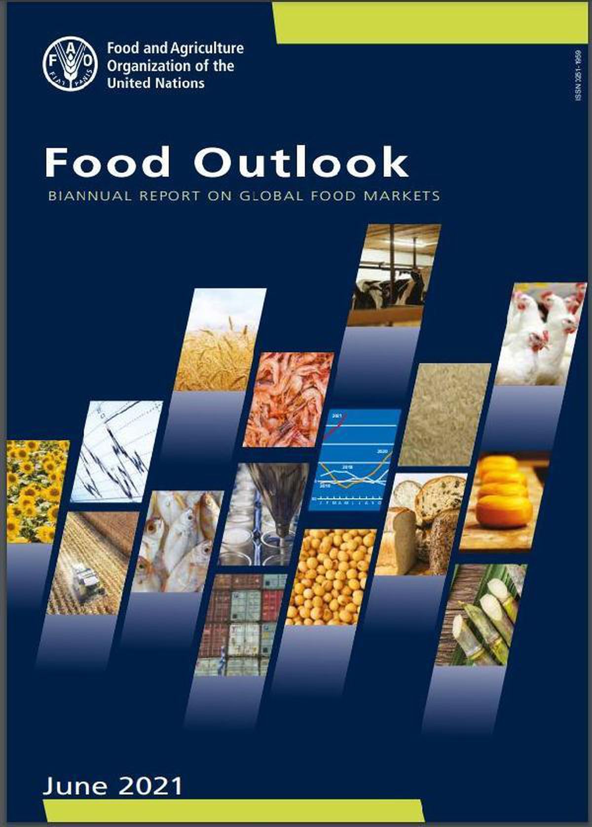 FAO-Dünya gıda ithalatı 2021\'de 1.72 trilyon dolara çıkacak