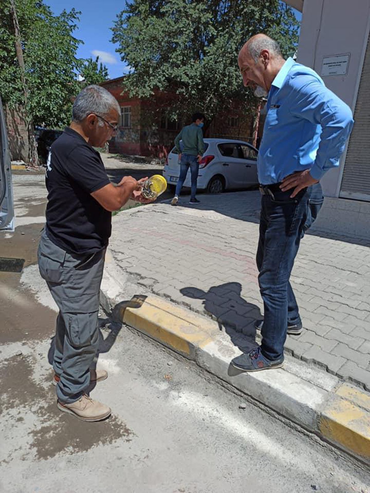 Iğdır\'da bir kümesteki civcivleri yemeye çalışan yılan yakalanıp doğal ortamına bırakıldı