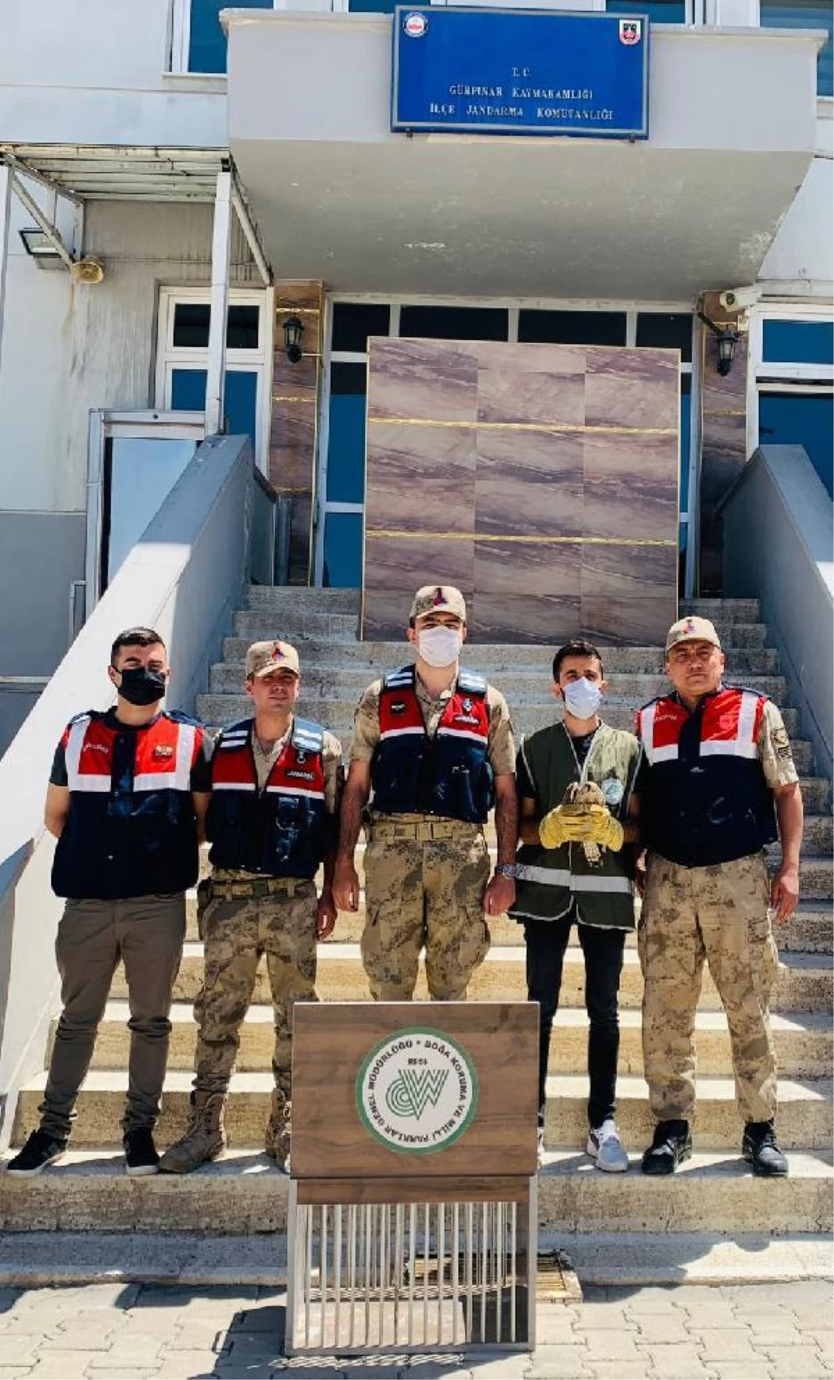 Son dakika haber: Jandarmanın bulduğu yaralı şahin, tedaviye alındı