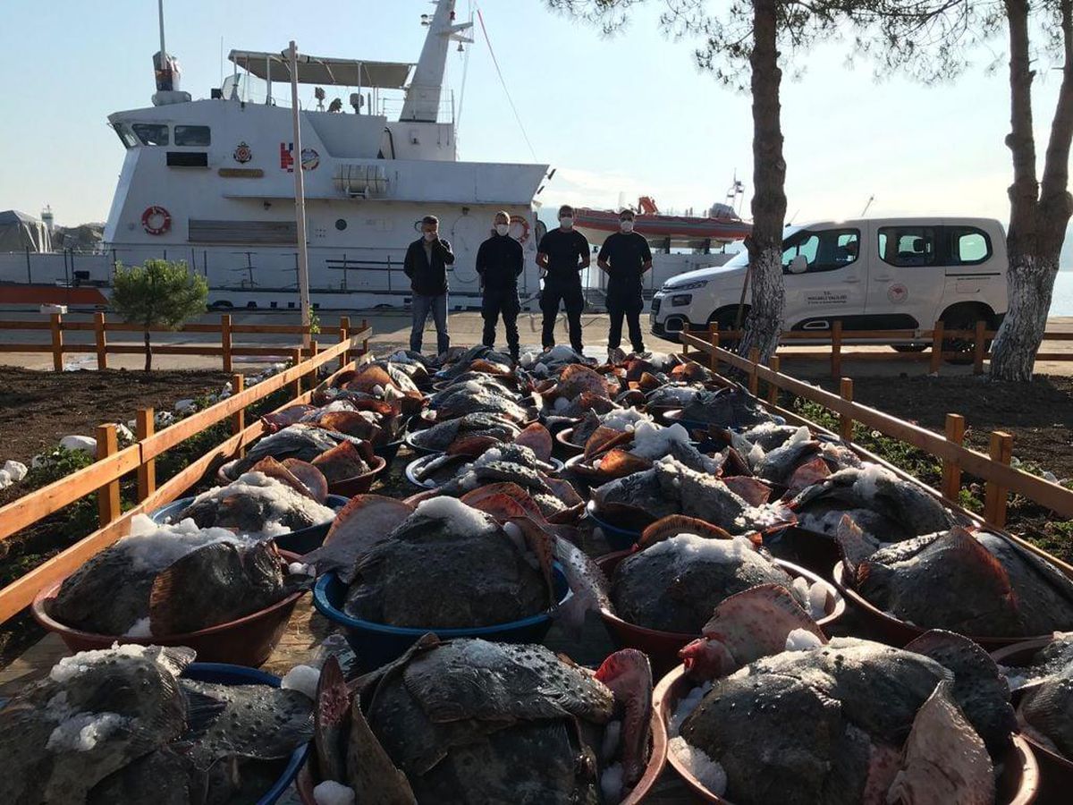 Kandıra\'da yasak dönemde avlanan 3 ton kalkana el konuldu