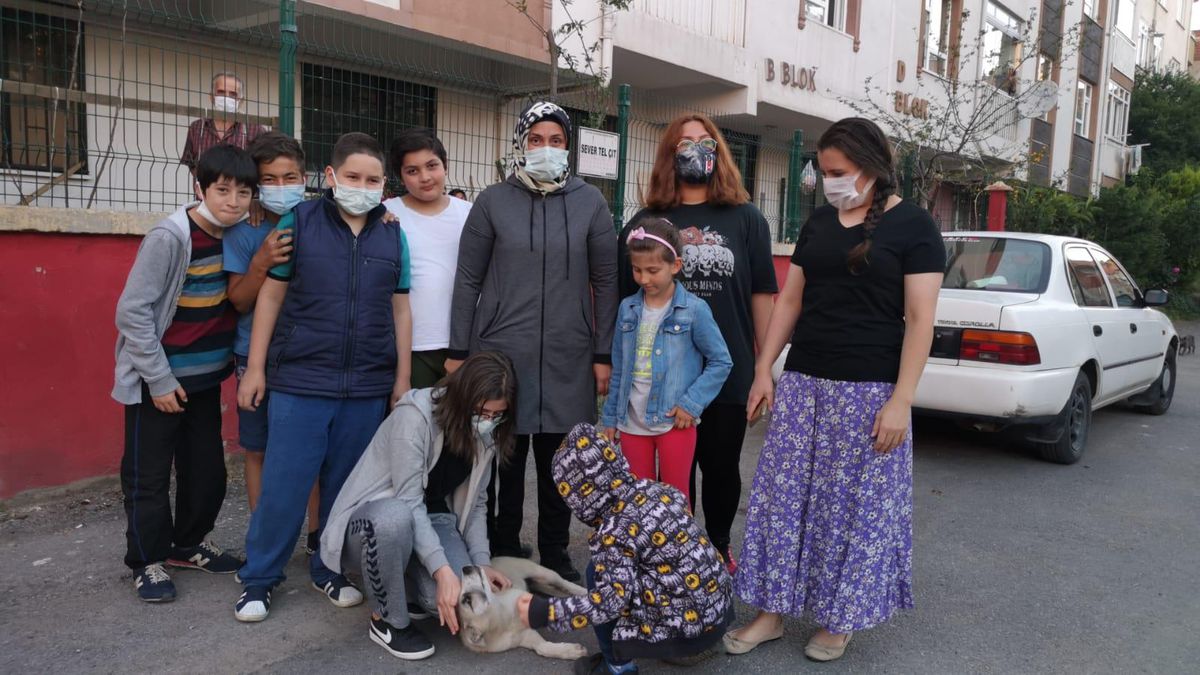 Kocaeli\'de yavru köpeği ezerek öldürdüğü iddia edilen sürücüye idari para cezası verildi