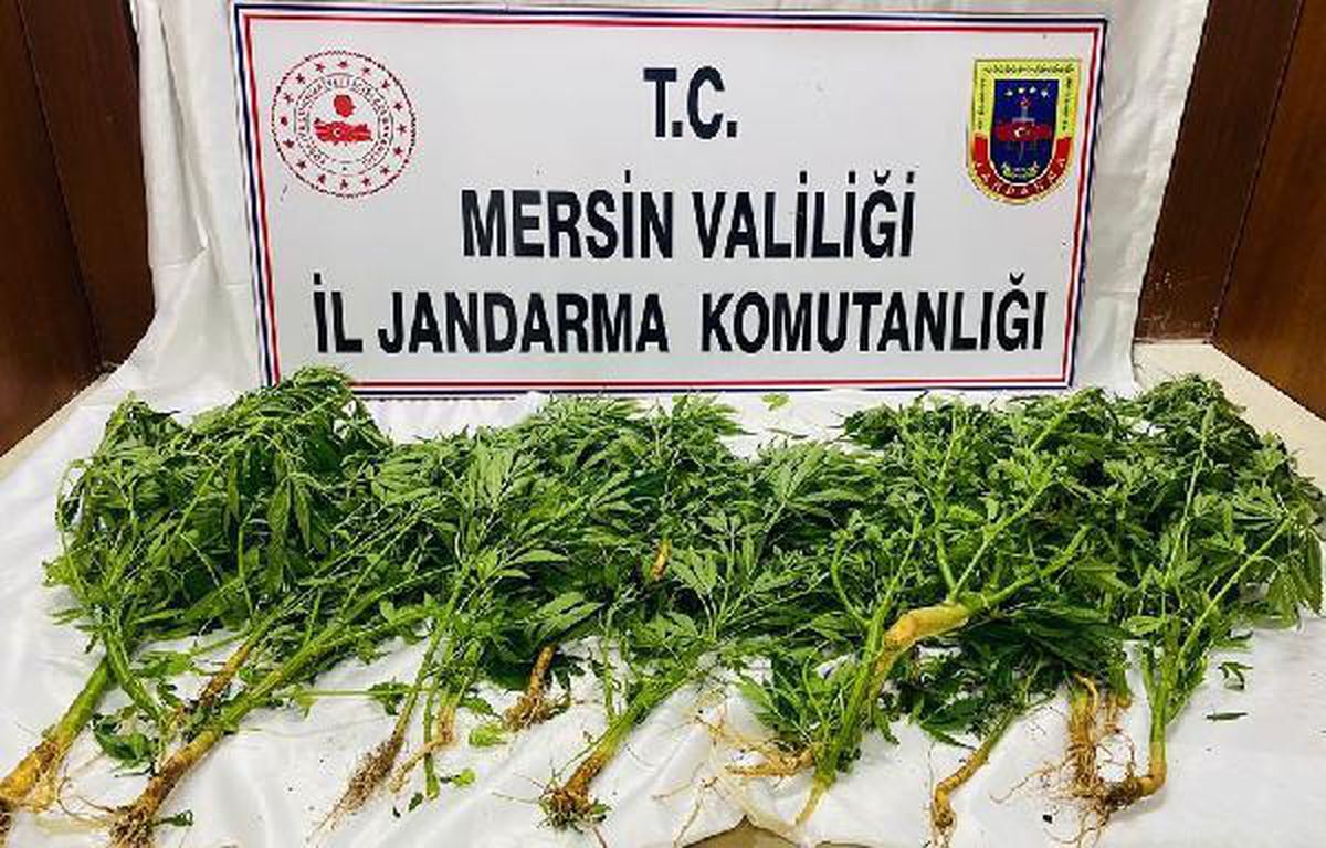 Son dakika haber... Mersin\'de uyuşturucu operasyonu: 8 gözaltı