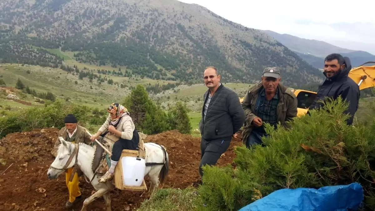 Münevver teyzenin yol isteği gerçek oldu