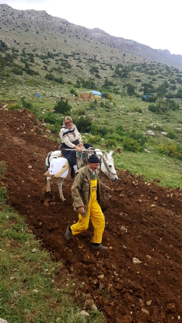 Münevver teyzenin yol isteği gerçek oldu