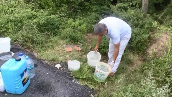 SARIYER'DE SERVİS ŞOFORÜ DÖRT YILDIR HER GÜN SOKAK HAYVANLARINI BESLİYOR