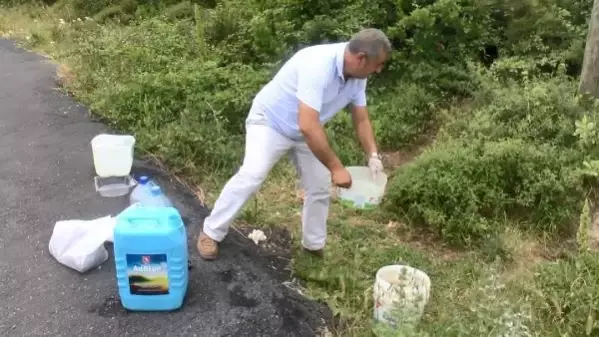 SARIYER'DE SERVİS ŞOFORÜ DÖRT YILDIR HER GÜN SOKAK HAYVANLARINI BESLİYOR