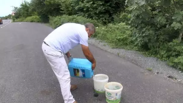 SARIYER'DE SERVİS ŞOFORÜ DÖRT YILDIR HER GÜN SOKAK HAYVANLARINI BESLİYOR