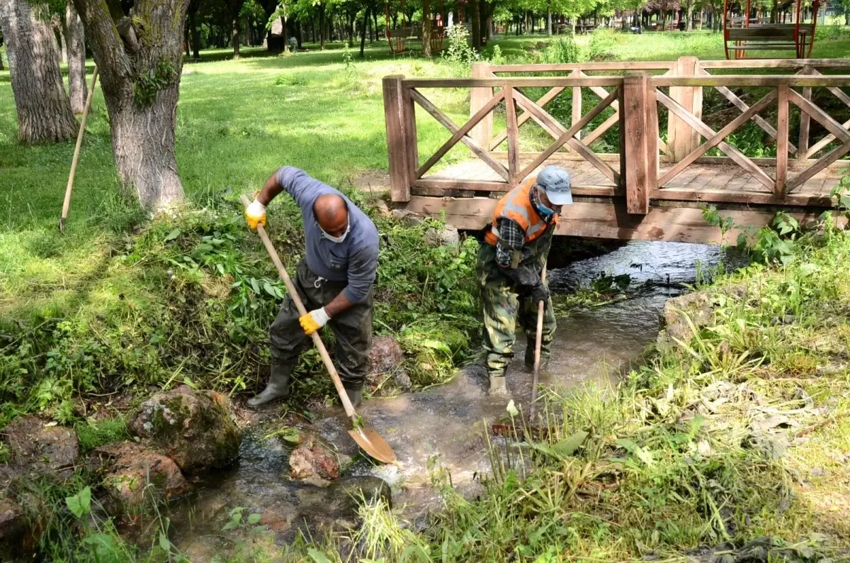 Türbin Mesire Alanı\'ndaki bakım ve çevre düzenlemesi çalışmaları başladı