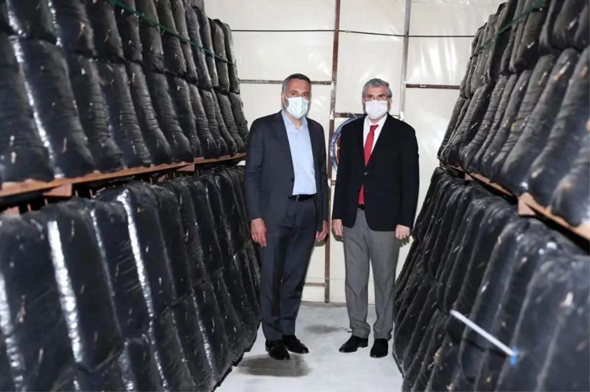 Başkan Yüce: "Tarımda ürün çeşitliliğini artıracak hamlelerimiz sürecek"