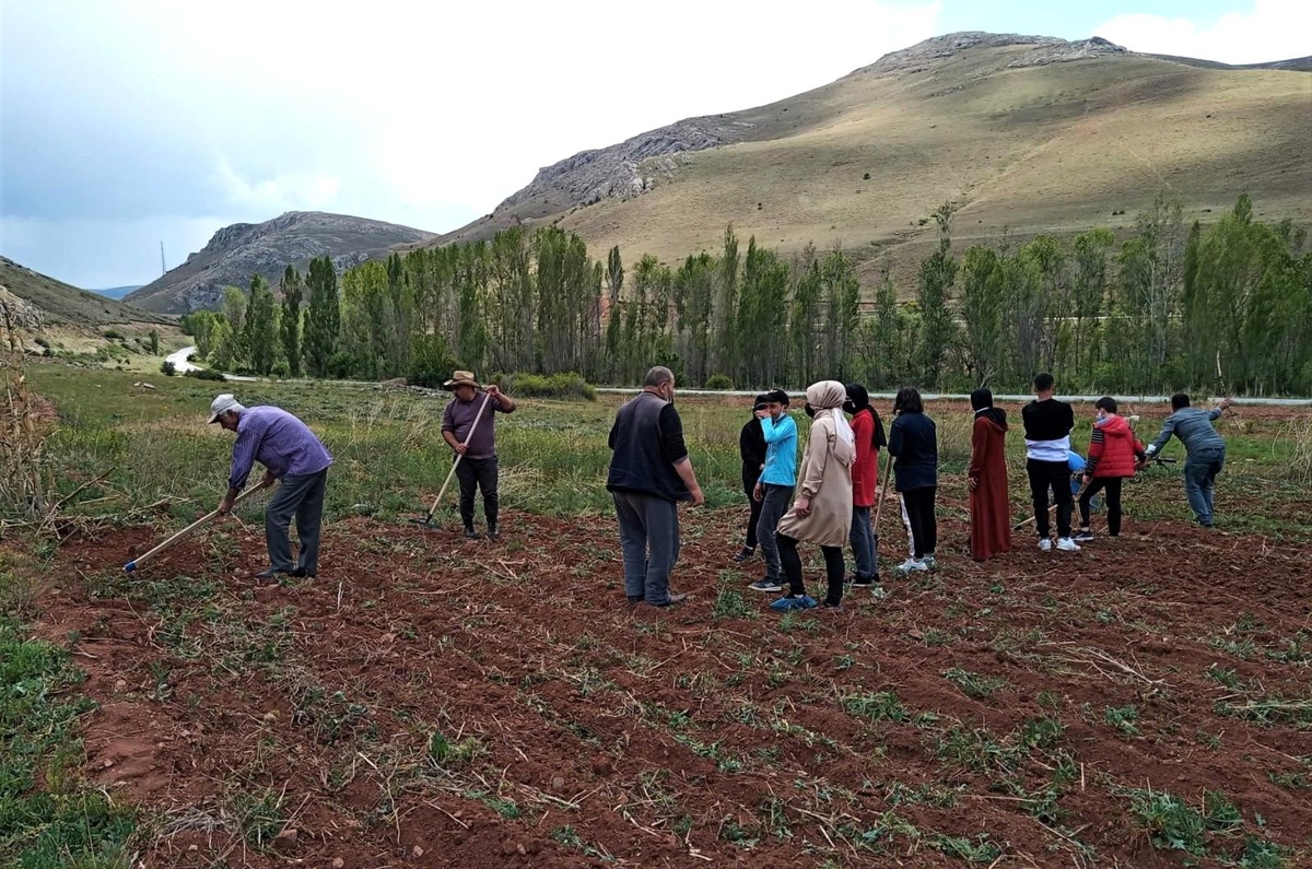 Son dakika haberleri! Bayburt\'ta yaşlılar ve çocuklar bir araya gelip toprağa hayat verdi