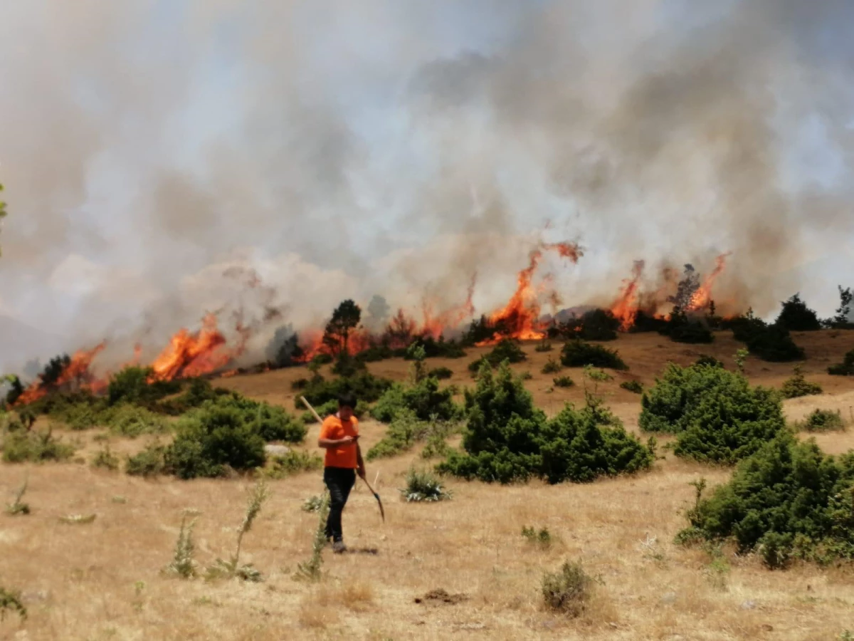 Son dakika haberi | Bingöl\'de çıkan orman yangını büyümeden söndürüldü