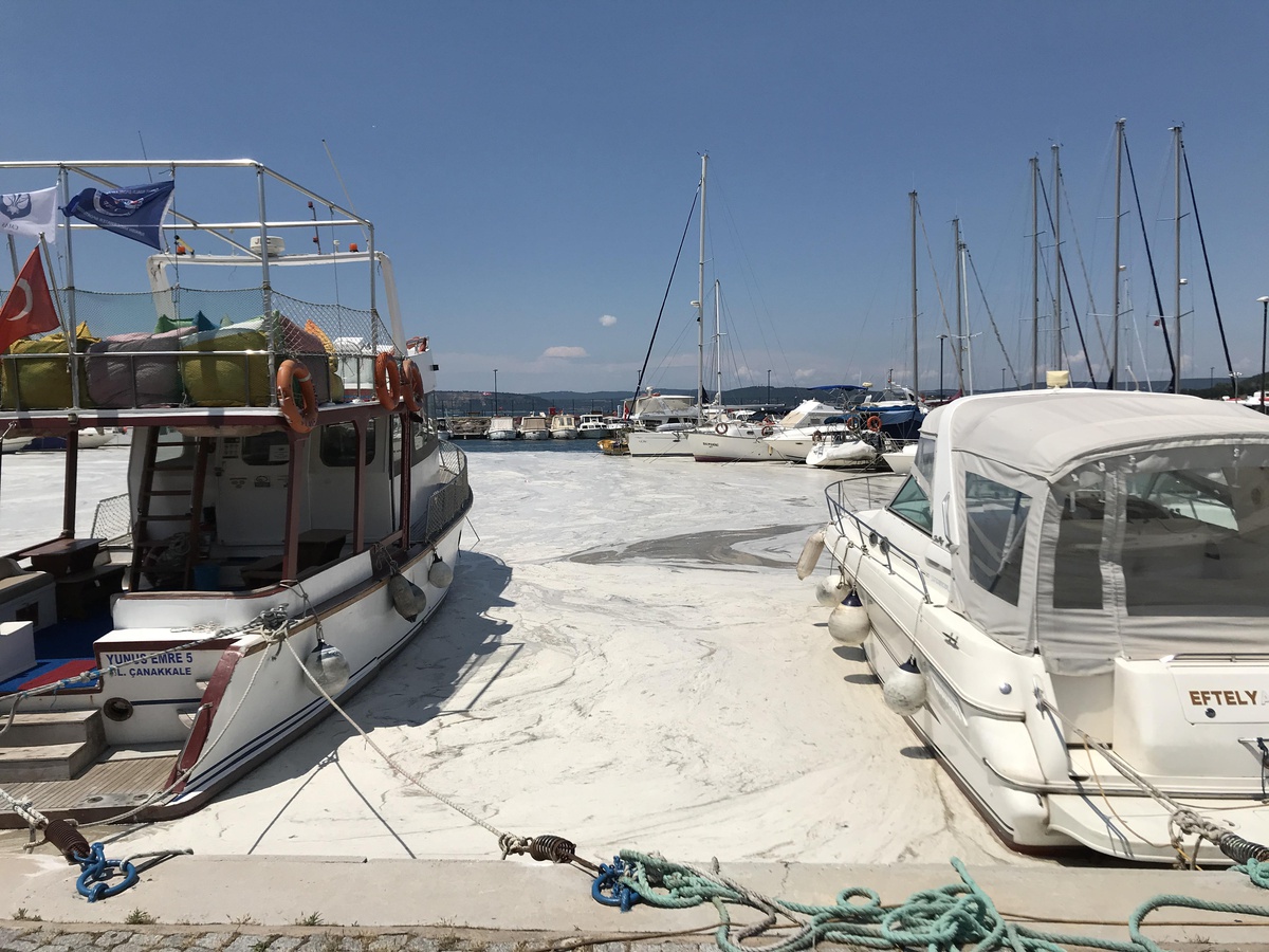 Çanakkale Boğazı\'nda müsilaj yoğunluğu sürüyor