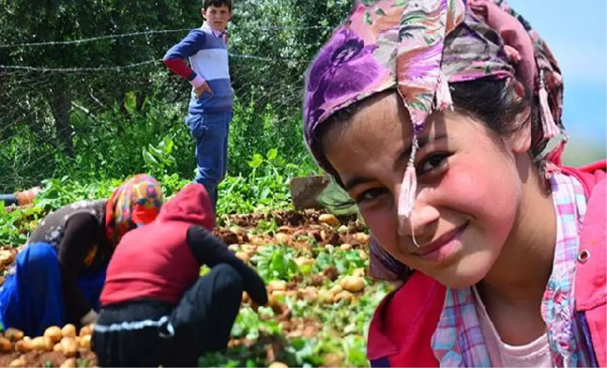 Çocuk işçilerin sayısı son 4 yılda 8,4 milyon artarak 160 milyona yükseldi