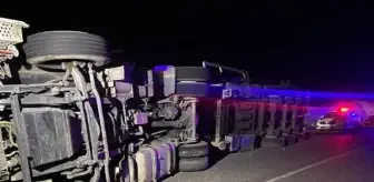 Devrilen tomruk yüklü TIR'ın şoförü öldü