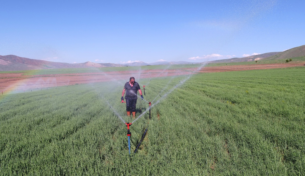DSİ, Erzurum, Erzincan ve Ağrı\'da tarım arazilerini sulayarak ülke ekonomisine katkı sağlayacak