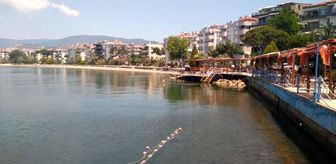 Erdek sahilleri normalleşiyor