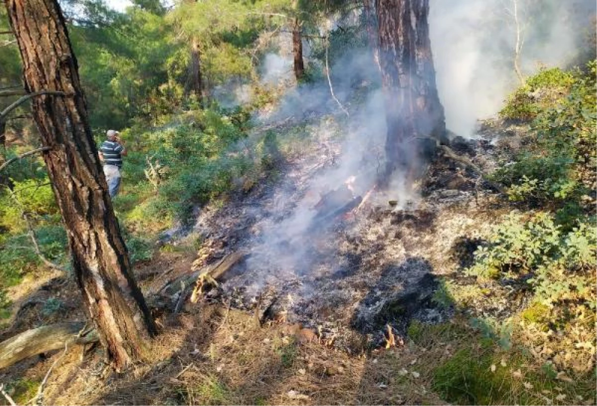 Son dakika haberi: Eskişehir\'de 2 noktada çıkan orman yangınları erken müdahaleyle söndürüldü