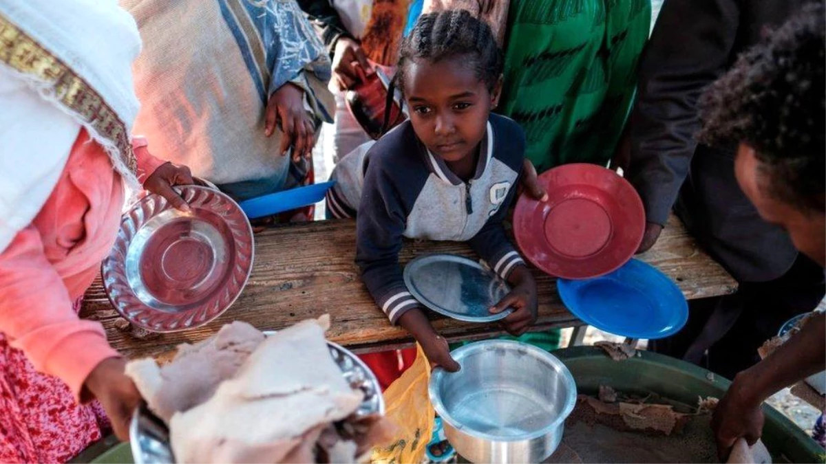 Etiyopya\'nın Tigray bölgesinde halk nasıl \'insan eliyle\' açlığa sürüklendi?