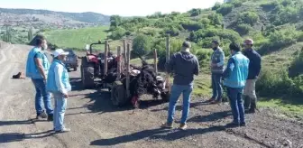 Kütahya'da, yıldırım isabet eden ağacın altında 21 küçükbaş öldü