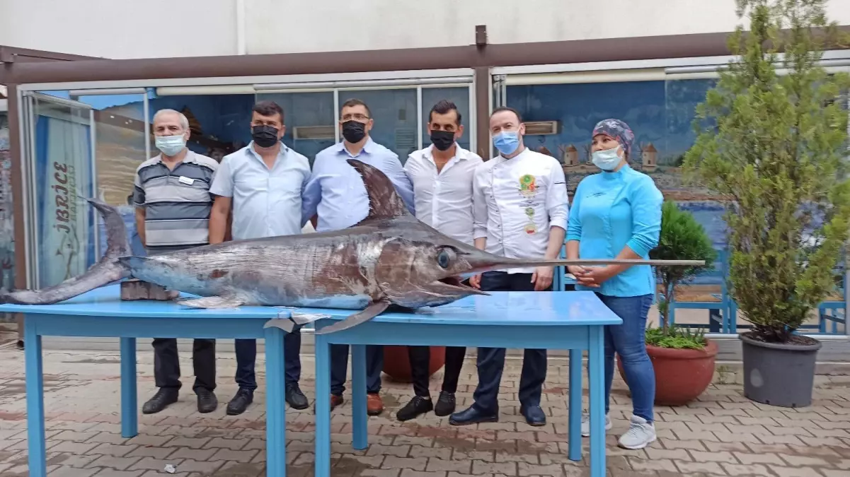 Saros Körfezi\'nde yakalanan dev kılıçbalığı ilgi odağı oldu