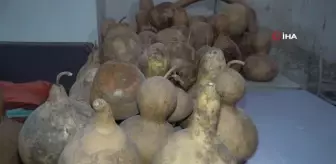 Su kabaklarını sanat eserine dönüştürüyor