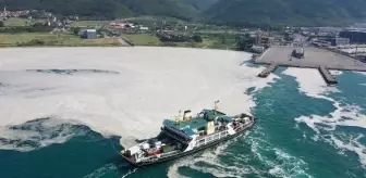 Yalova'da deniz yeniden müsilajla kaplandı