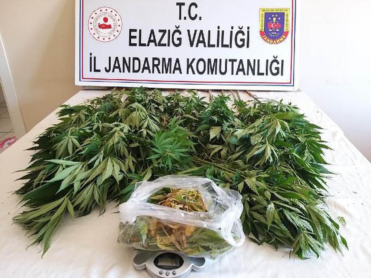 17 kilo kubar esrar ele geçti; 3 kişi gözaltında