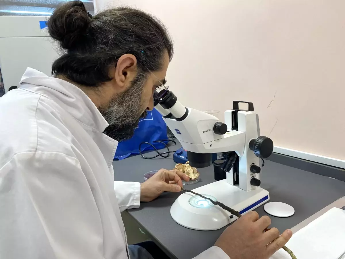 Avrupa\'nın gözdesi \'kara elmas\', Türkiye\'de bu yöntemle üretilecek