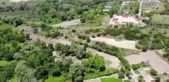 Başakşehir'de binaların arasındaki bostan görenleri şaşırtıyor