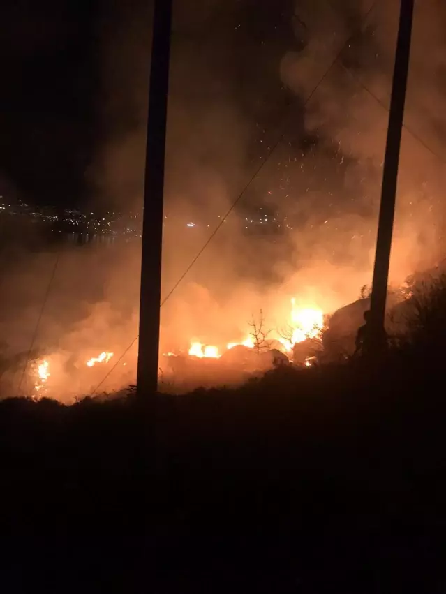 Bodrum'da otluk alanda çıkan yangın söndürüldü