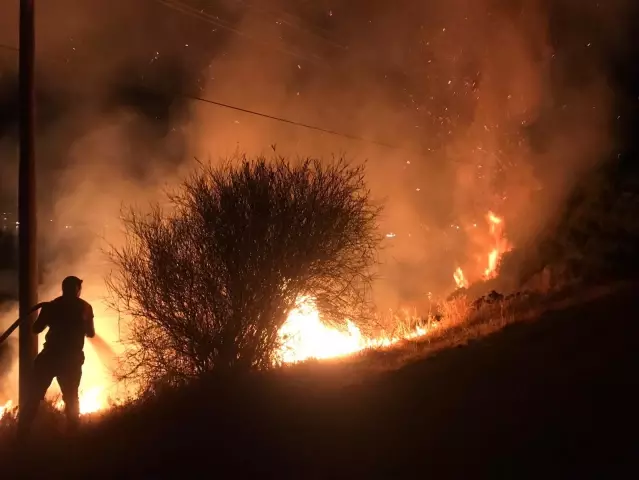 Bodrum'da otluk alanda çıkan yangın söndürüldü