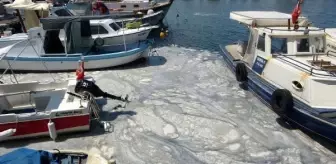 Çanakkale Boğazı'nda müsilaj temizliği devam ediyor