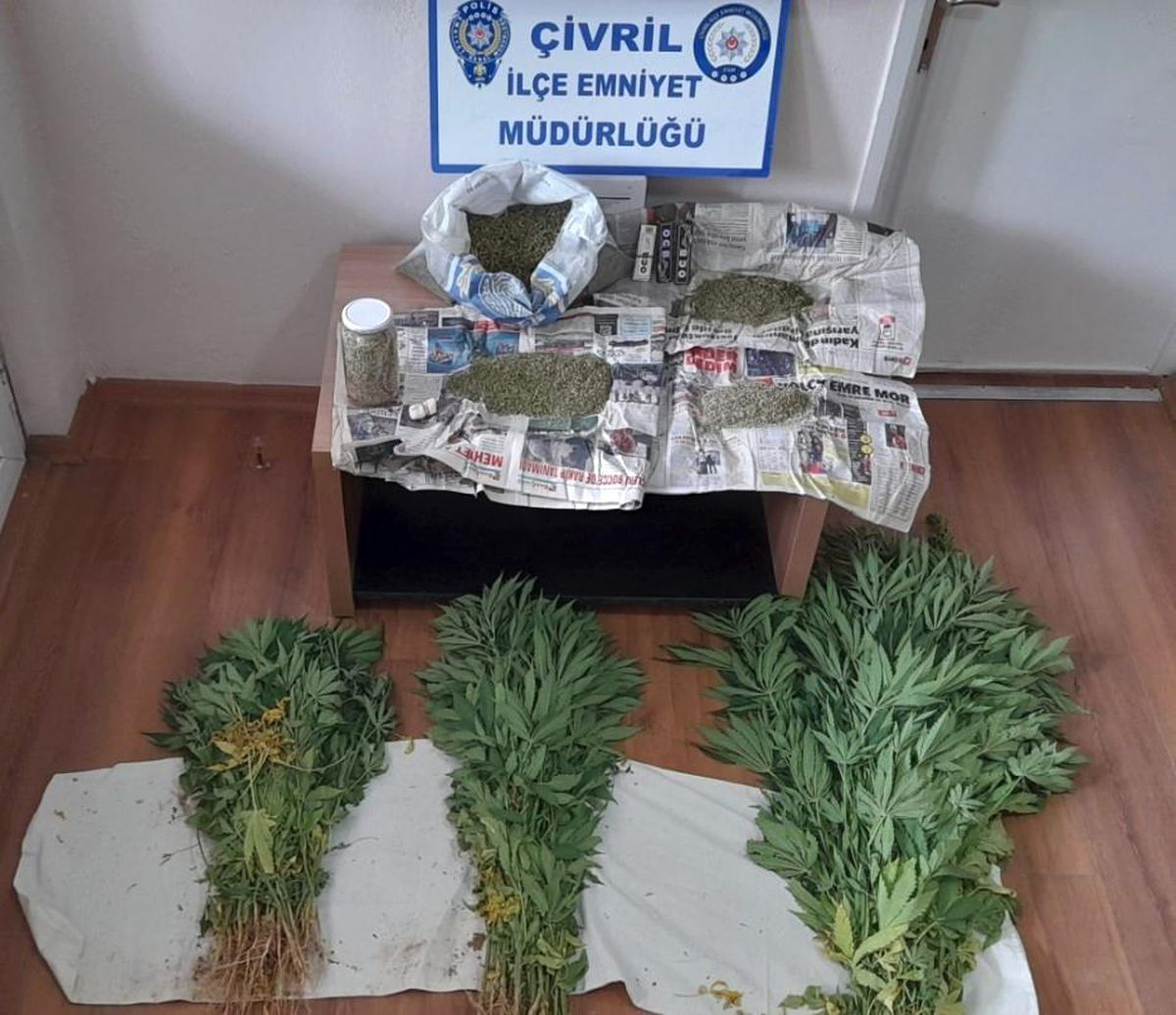 Evin bahçesinde 110 kök kenevir yetiştirdiler