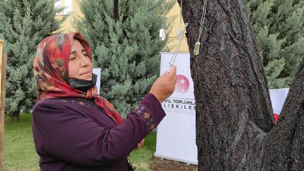 Kırşehir\'de 193 şehidin ismi ağaçta yaşatılıyor