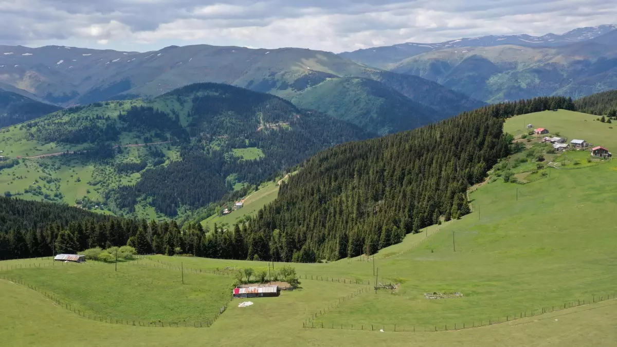 "Oksijen deposu" Kümbet Yaylası ziyaretçilerini ağırlıyor