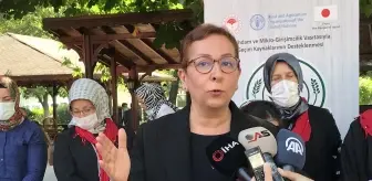 Son dakika haberleri: Tarım ve Orman Bakanlığının üretici kadınlara yönelik eğitim seferberliğinin dördüncü durağı Bursa oldu