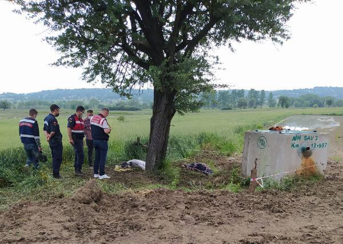 Tarlada yağan yağmurda ağacın altına sığınan kadına yıldırım isabet etti