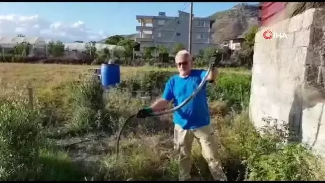 Balıkçı ağına takılan kara yılan kurtarıldı Balıkçı ağına takılan kara yılan kurtarıldı