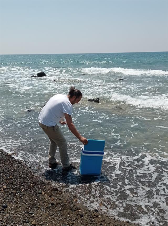 Hatay sahilinde müsilaj paniği! Korkulan olmadı