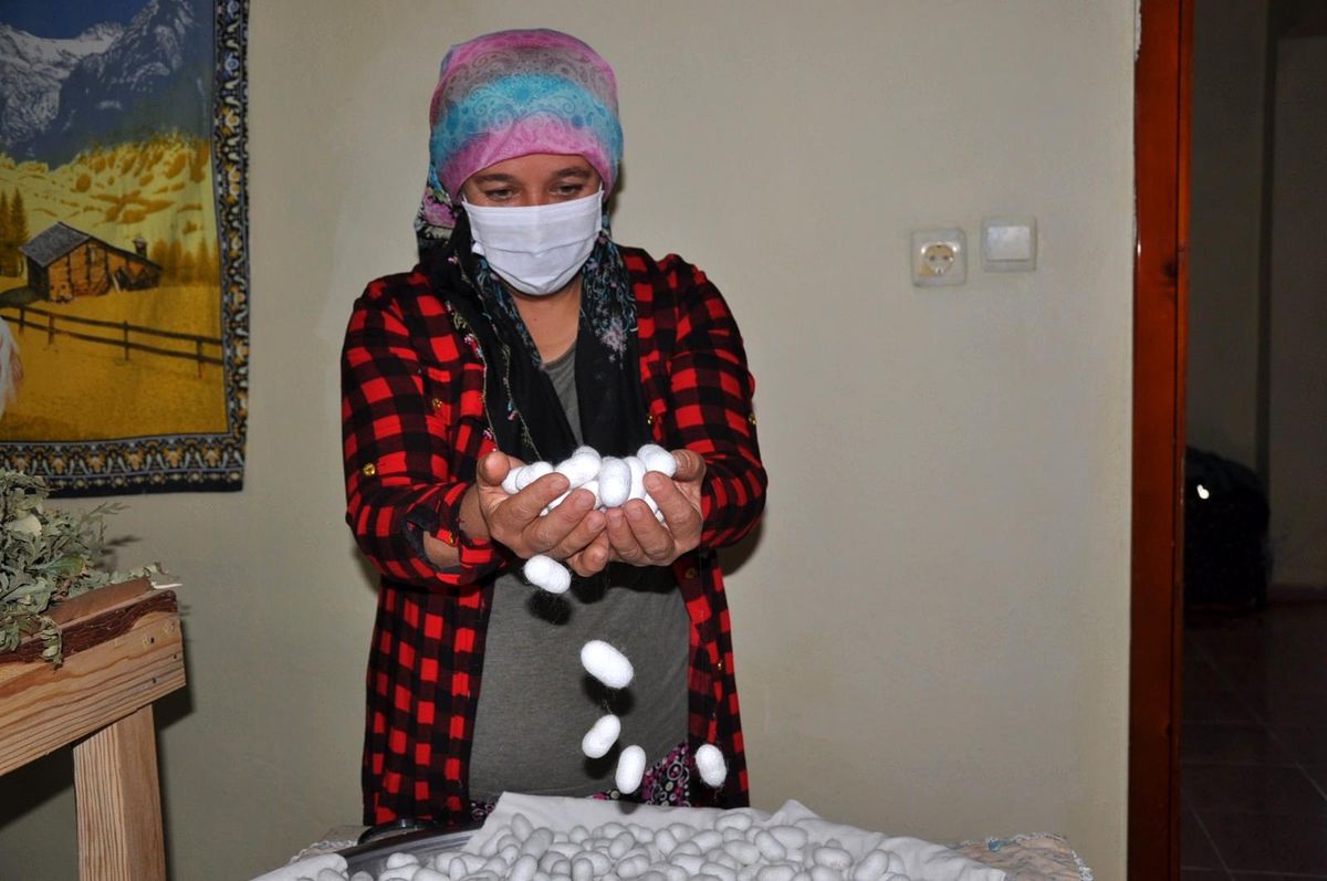 3 çocuk annesi, aldığı teşvikle ipek böceği yetiştirmeye başladı