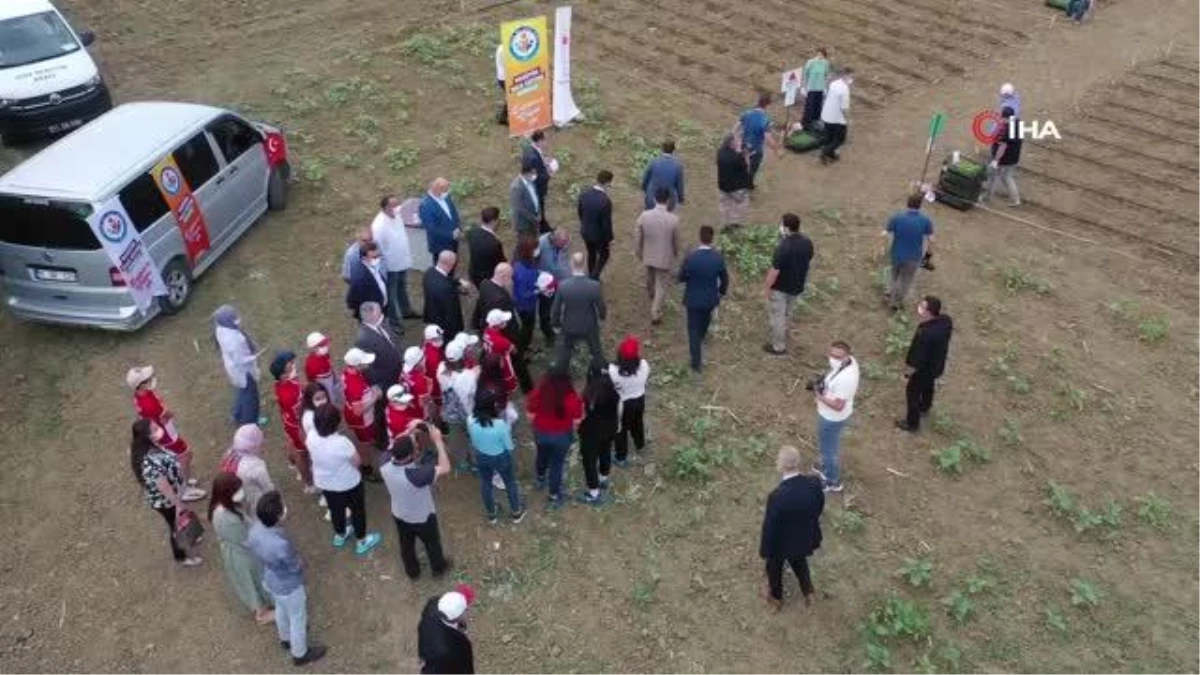 Engelli bireylerin mutlu günü...Sebze eken engelli bireyler ürünlerini yine kendileri hasat ederek satacak