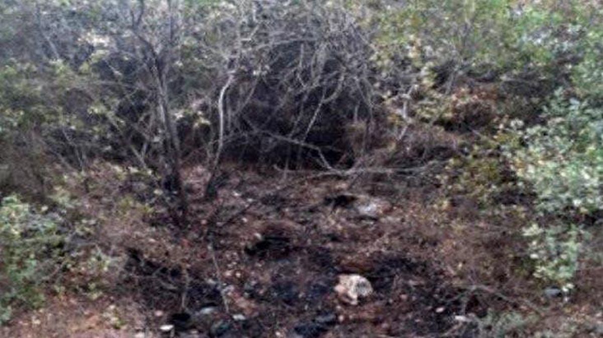 İzmir\'de dört ayrı noktada orman yangını çıkarmak isteyen şüpheli, PKK/KCK üyesi çıktı