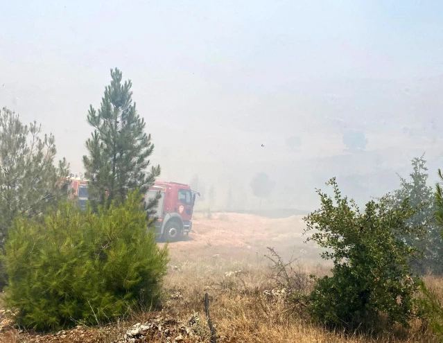 Ömerli'de ağaçlık alanda yangın çıktı, 200 dönümlük alan küle döndü