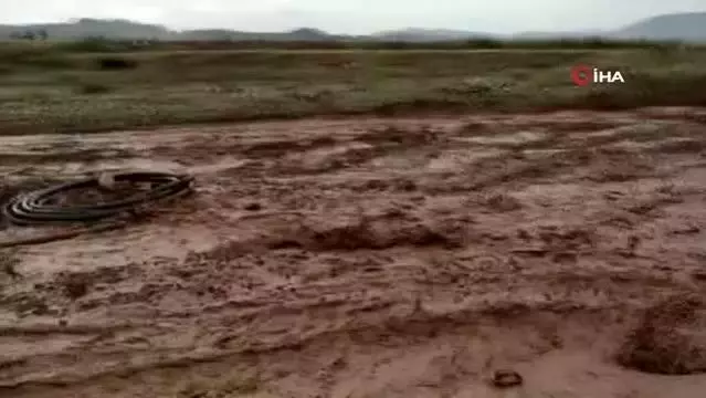 Nallıhan'da dereler taştı, tarım arazileri sele teslim oldu