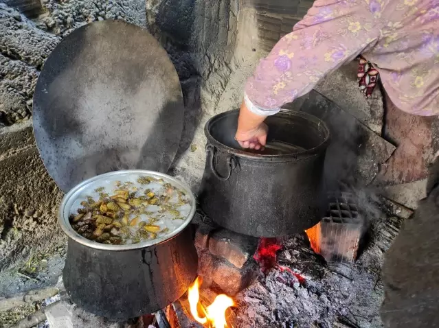 Oksijen deposu ormanda çam ağaçlarından toplanıp kaynatılıyor, kilogramı 100 TL'den satılıyor