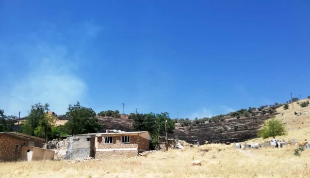 Ömerli'de ağaçlık alanda yangın çıktı, 200 dönümlük alan küle döndü