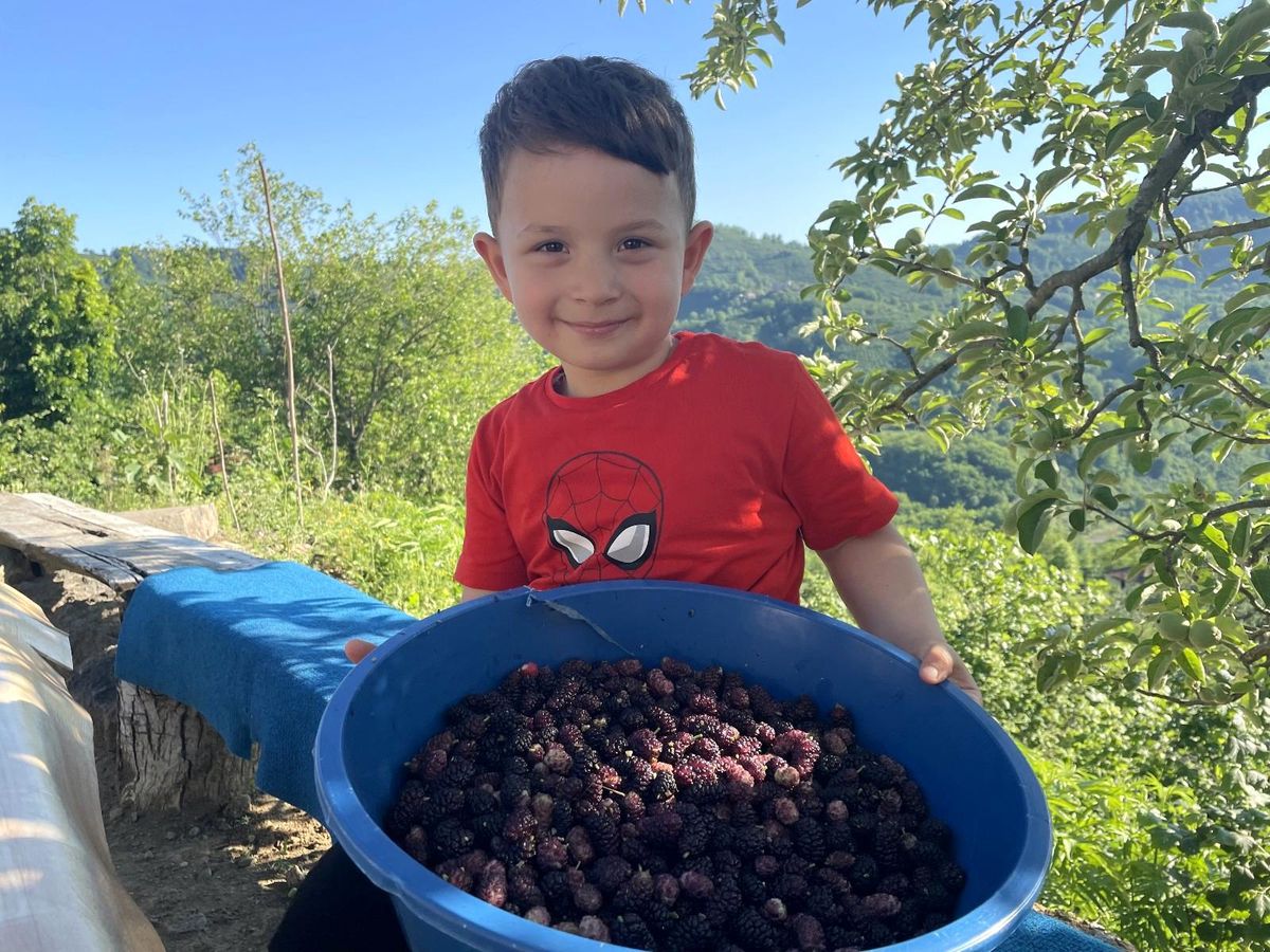 Ordu\'da dut pekmezi zamanı