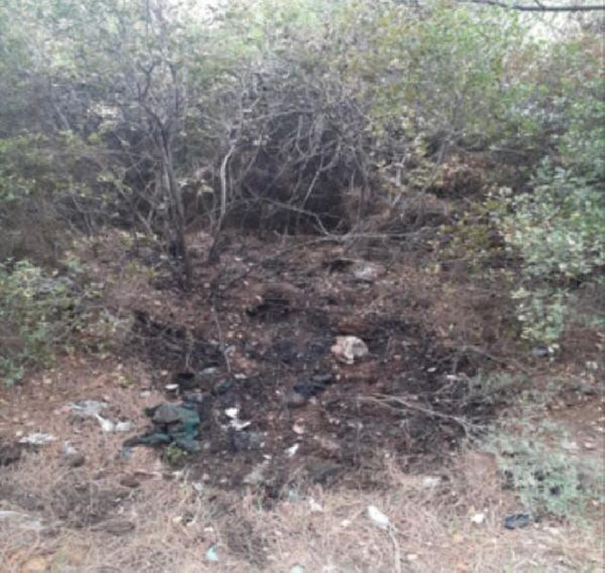 Ormanı yakan terör örgütü PKK üyesi tutuklandı